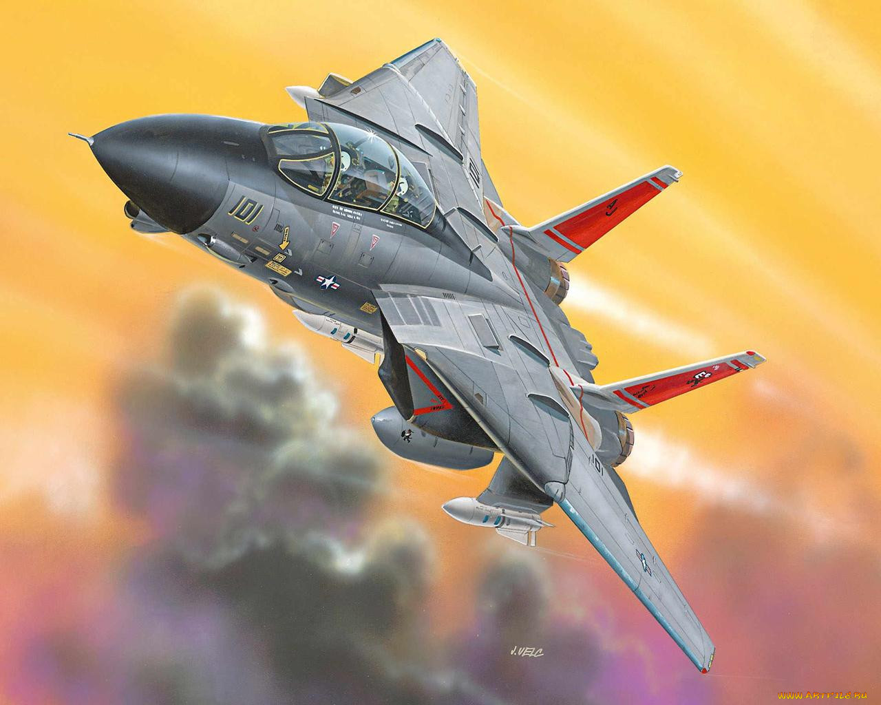 14, tomcat, , 3, , graphic
